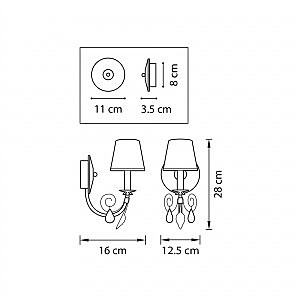 Настенное бра Lightstar Modesto 781614