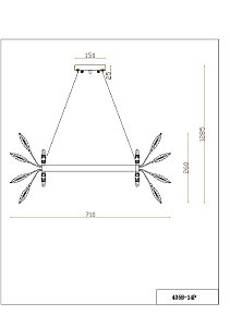 Подвесная люстра Favourite Rays 4058-14P