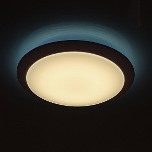 Светильник потолочный MW Light Ривз 674014201