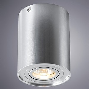 Накладной светильник Arte Lamp Falcon A5644PL-1SI