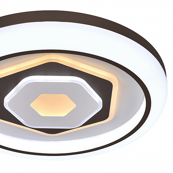 Потолочный светодиодный светильник F-Promo Lamellar 2456-5C