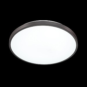 Настенно потолочный светильник Sonex Smalli 3012/DL