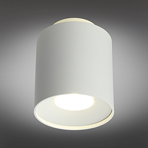 Накладной светильник Omnilux Torino OML-100309-16