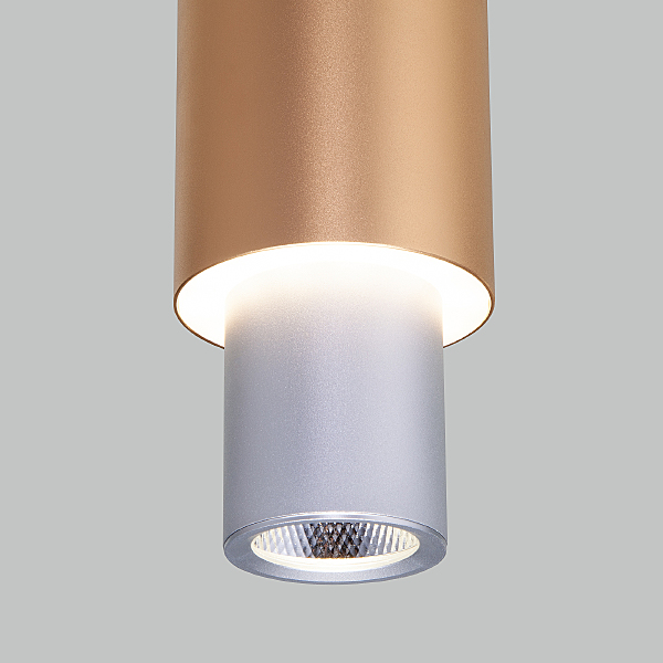 Светильник подвесной Eurosvet Bento 50204/1 LED матовое серебро/матовое золото