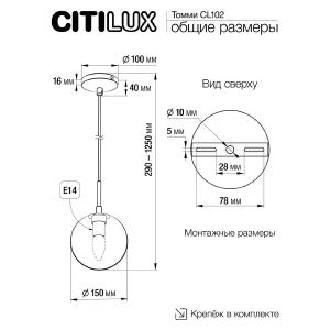 Светильник подвесной Citilux Томми CL102013