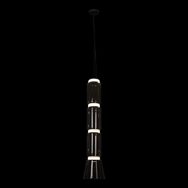 Светильник подвесной Loft It Noctambule 10193/L